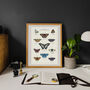 British Butterfly Art Poster, thumbnail 9 of 10