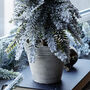 Small Snowy Christmas Tree In Pot, thumbnail 4 of 4