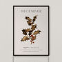 Birth Flower Wall Print 'Holly' For December, thumbnail 2 of 9