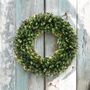 Holly And Red Berry Winter Wreath, thumbnail 4 of 6