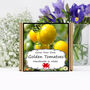Gardening Gift. Yellow Tomato Growing Kit, thumbnail 1 of 4