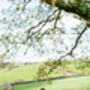 Personalised Oak Rope Swing, thumbnail 5 of 12