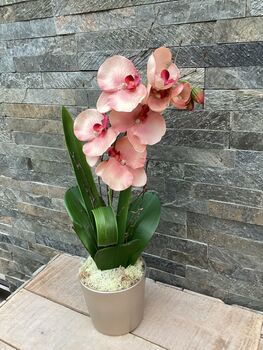 Peach Artificial Silk Orchid Flower Arrangement, 6 of 6