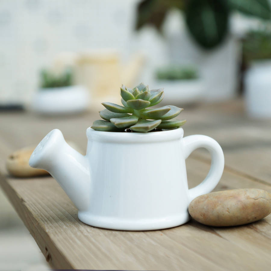 Watering Can Shaped Mini Planter, 1 of 6