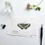 ‘Butterflies’ Set Of Hand Illustrated Postcards, thumbnail 6 of 6