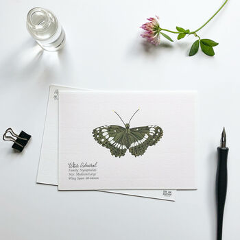 ‘Butterflies’ Set Of Hand Illustrated Postcards, 6 of 6