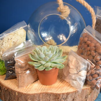 Glass Globe Terrarium Kit With Succulent Or Cactus Gift, 5 of 10
