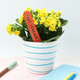Teacher Gift Personalised Plant Marker, thumbnail 1 of 8