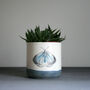 Small Navy Planter Butterfly Ceramic Succulent Pot, thumbnail 1 of 3