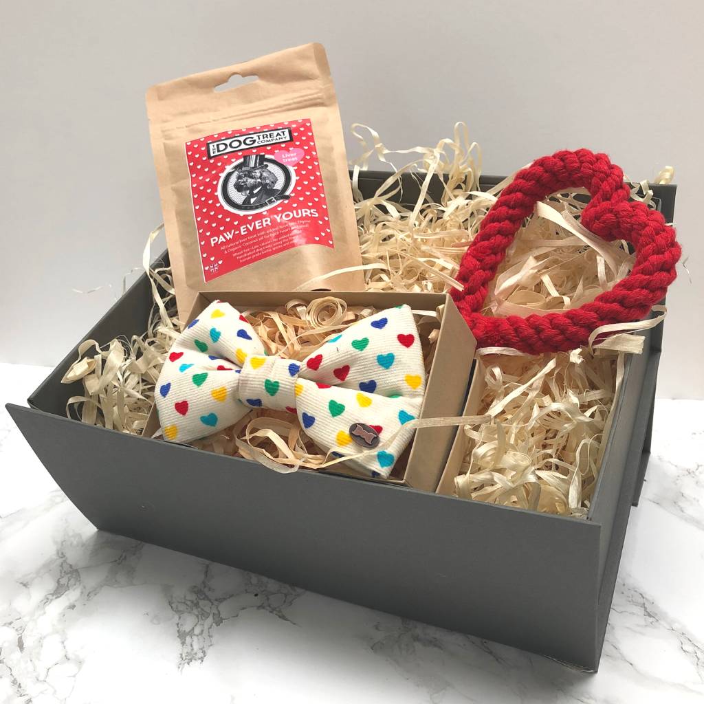 The Dog Lover's Gift Box By The Distinguished Dog Company