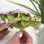 Build Your Own Personalised Hawksbill Turtle, thumbnail 4 of 10