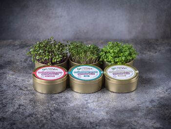 Organic Microgreen Tin Set Growing Kit | Brassica, 2 of 2