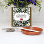 Gardening Gift. Gypsophila Flowers Growing Kit, thumbnail 2 of 4