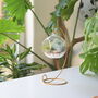 Diy Air Plant Terrarium Kit Hanging Terrarium Gift Light Blue Moss With Optional Gold Stand, thumbnail 6 of 7