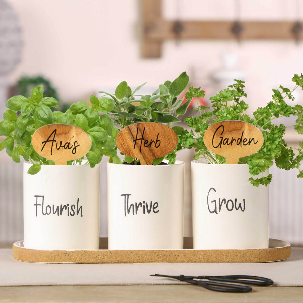 Three Ceramic Herb Planters With Personalised Markers By Dibor ...