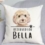 Reserved For Cream Cockapoo Cushion, thumbnail 1 of 2