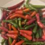 36 X Chili Hot Mix Plug Selection, thumbnail 2 of 4