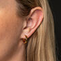 Small 18k Gold Plated Huggie Hoop Earrings, thumbnail 1 of 5
