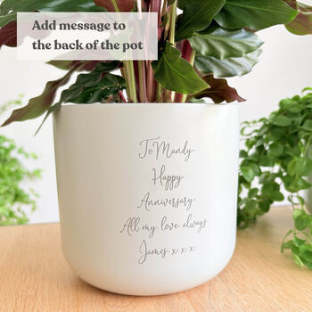 Personalised 1st Anniversary Gift | Indoor Pot Add Plant, 4 of 5