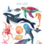 Sea Life Print, thumbnail 4 of 10