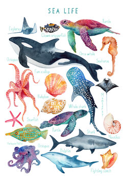 Sea Life Print, 4 of 10