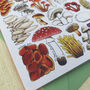 Mushrooms Of Britain Art Blank Greeting Card, thumbnail 5 of 11