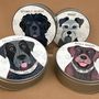 Dog Treat Tin 65 Personalised Designs Available, thumbnail 10 of 12