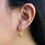 Dandelion Spike Gold Plated Silver Stud Earrings, thumbnail 7 of 12