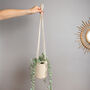 Plant Pot Holder Easy Crochet Kit, thumbnail 1 of 10