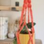 Diy Macrame Plant Hanger Kit, thumbnail 5 of 10