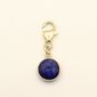 Sapphire Owner Necklace And Pet Collar Charm Set, thumbnail 7 of 8