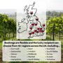 Vineyard Tour And Wine Tasting Experience For Two | 15+ UK Locations, thumbnail 3 of 7