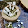 Porcelain Terrarium Fungi, thumbnail 1 of 9