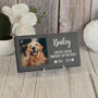 Pet Memorial Photo Slate Plaque On Stand, thumbnail 1 of 3