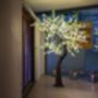 Medium 2m Illuminated LED Tree Mid White With Leaves, thumbnail 1 of 3