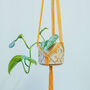 D.I.Y. Macramé Hanging Planter Kit, thumbnail 2 of 5