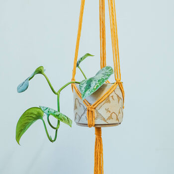 D.I.Y. Macramé Hanging Planter Kit, 2 of 5