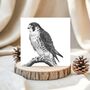 Peregrine Falcon Wildlife Greeting Card, thumbnail 2 of 6