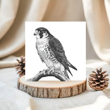 Peregrine Falcon Wildlife Greeting Card, 2 of 6