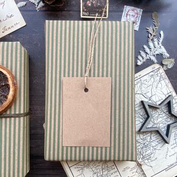 Green Stripe Paper Fibre Wrapping Paper, 6 of 6