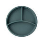 Silicone Plate With Removable Divider Teal, thumbnail 5 of 5