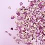 One Litre Biodegradable Confetti, Pink Rose Petals, thumbnail 1 of 2