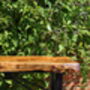 Handcrafted Yew Wood Bench Seat, thumbnail 4 of 8