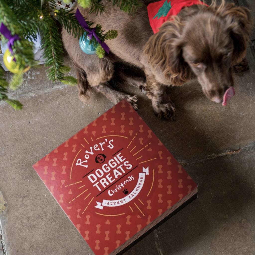 Personalised Dog Treats Advent Box By TheLittleBoysRoom ...