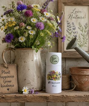 Blooming Wonderful Wildflower Seeds Gift Set, 10 of 10