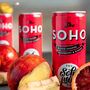 Blood Orange, Raspberry, Ginger Canned Soft Drink Pack, thumbnail 1 of 5