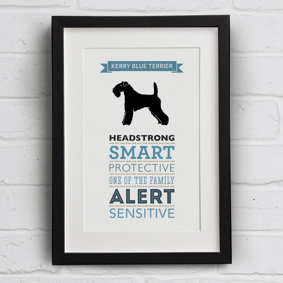 Kerry Blue Terrier Dog Breed Traits Print By Well Bred Design Notonthehighstreet Com