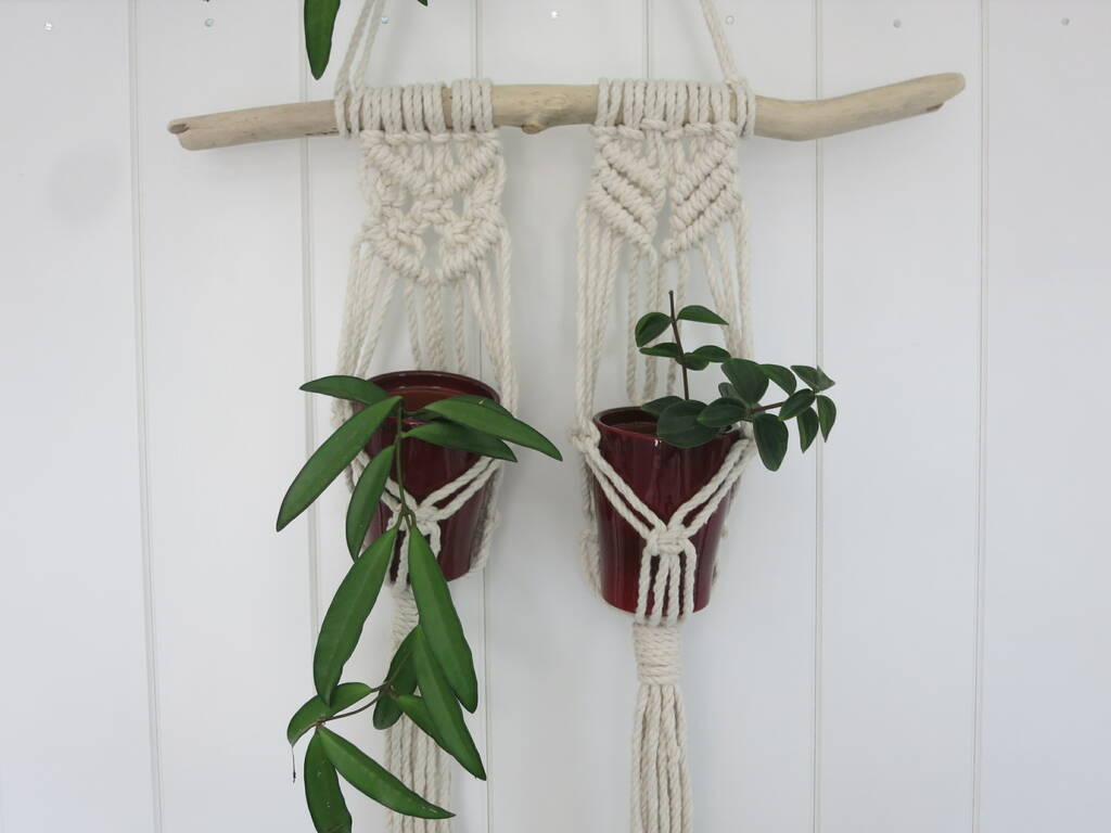 Image of Driftwood Macrame Two Plant Hanger