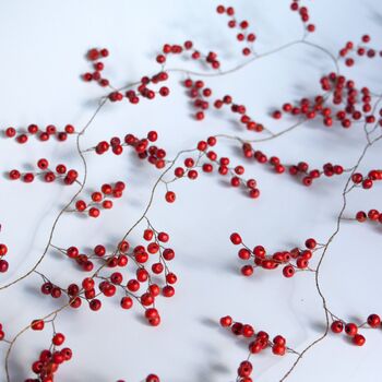 Red Wooden Berry Garland | 185cm Long, 3 of 4