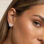 Women’s Butterfly Stud Earrings In 18k Gold Plated, thumbnail 1 of 5
